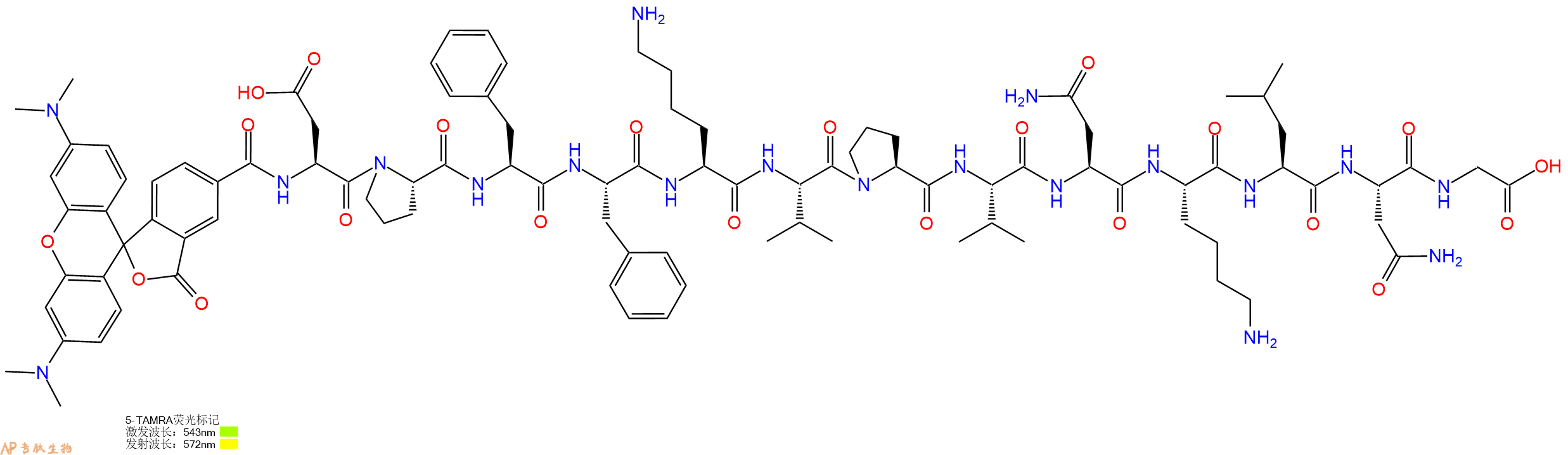 专肽生物产品5TAMRA-Asp-Pro-Phe-Phe-Lys-Val-Pro-Val-Asn-Lys-Leu-Asn-Gly-OH