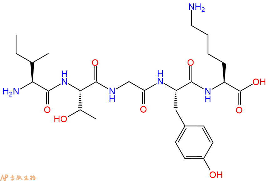 专肽生物产品H2N-Ile-Thr-Gly-Tyr-Lys-OH