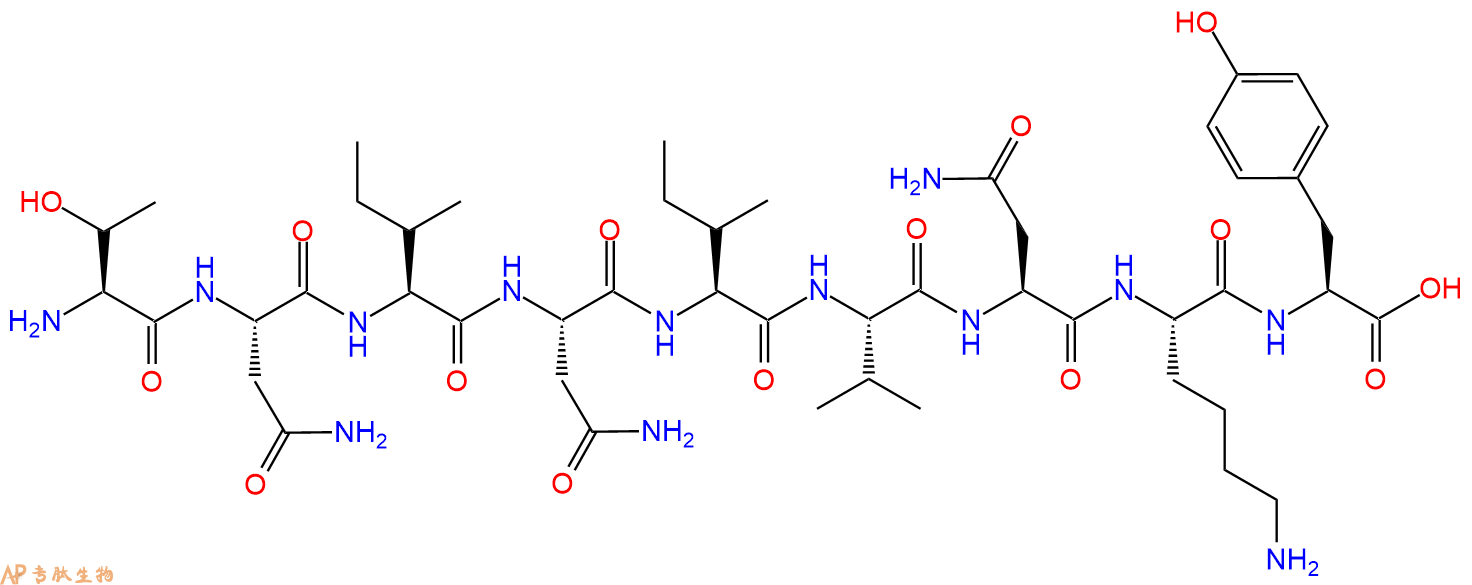 专肽生物产品H2N-Thr-Asn-Ile-Asn-Ile-Val-Asn-Lys-Tyr-OH
