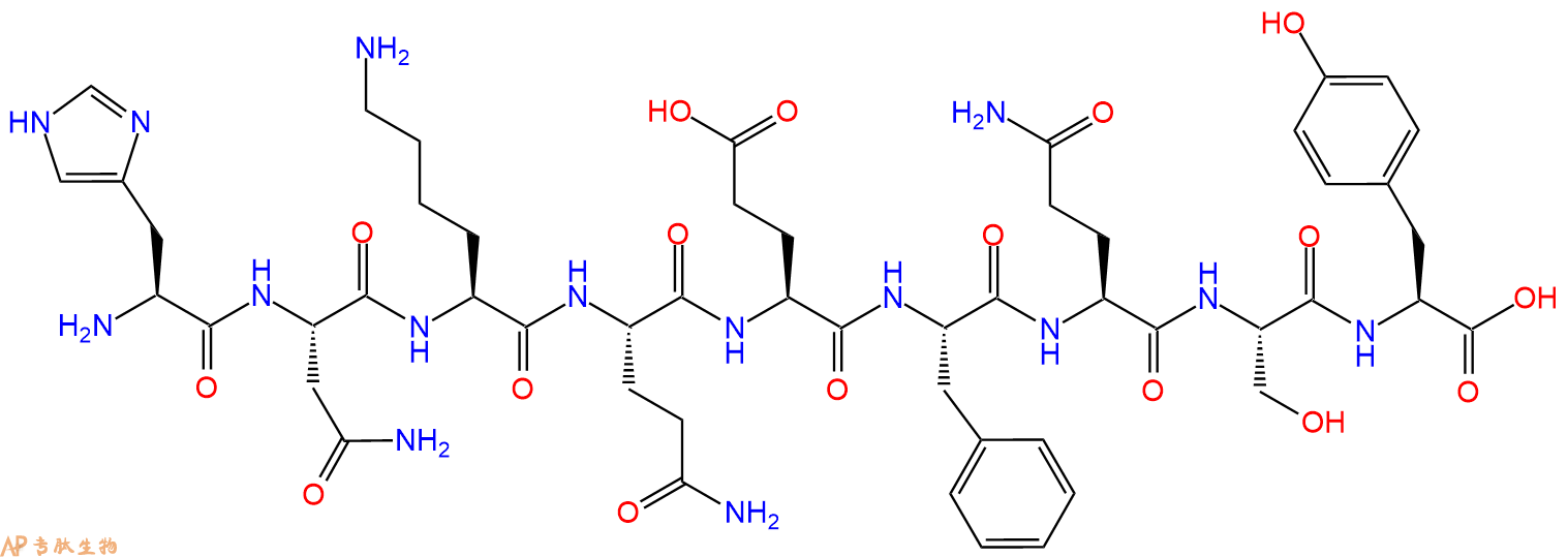专肽生物产品H2N-His-Asn-Lys-Gln-Glu-Phe-Gln-Ser-Tyr-OH