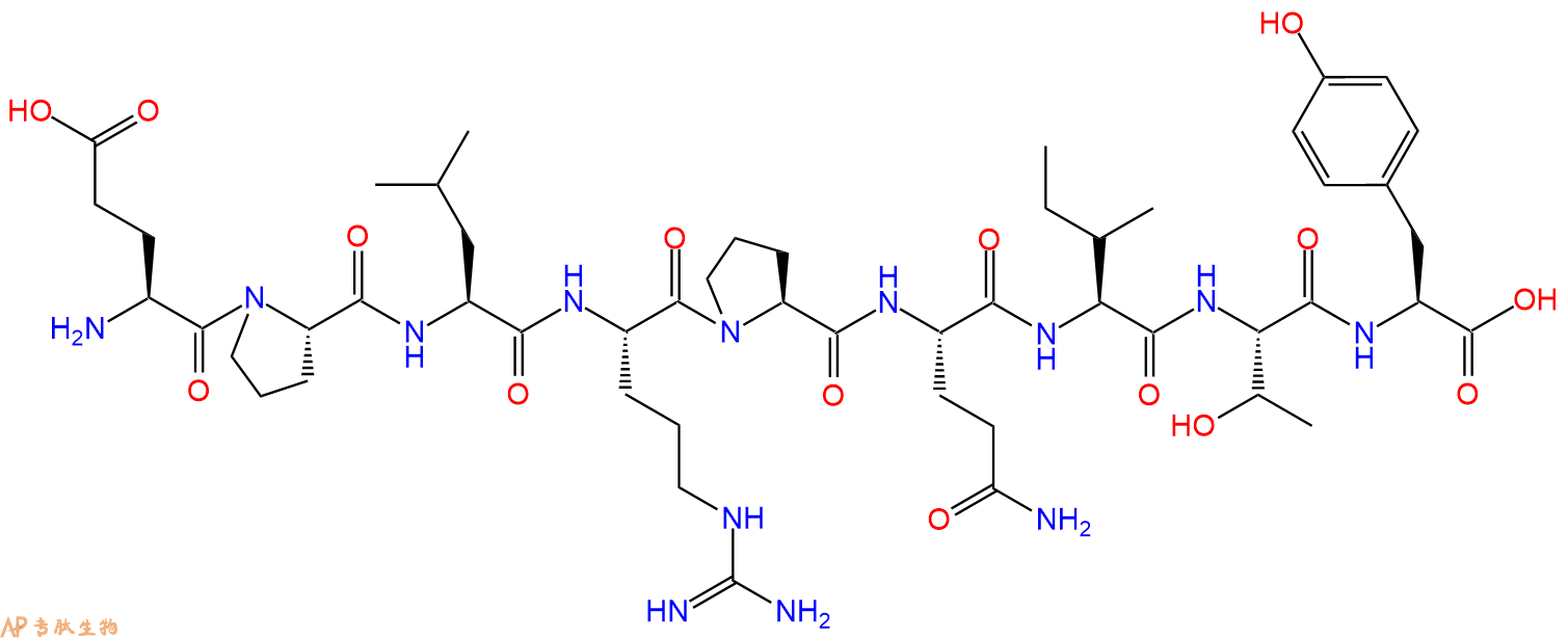 专肽生物产品H2N-Glu-Pro-Leu-Arg-Pro-Gln-Ile-Thr-Tyr-OH