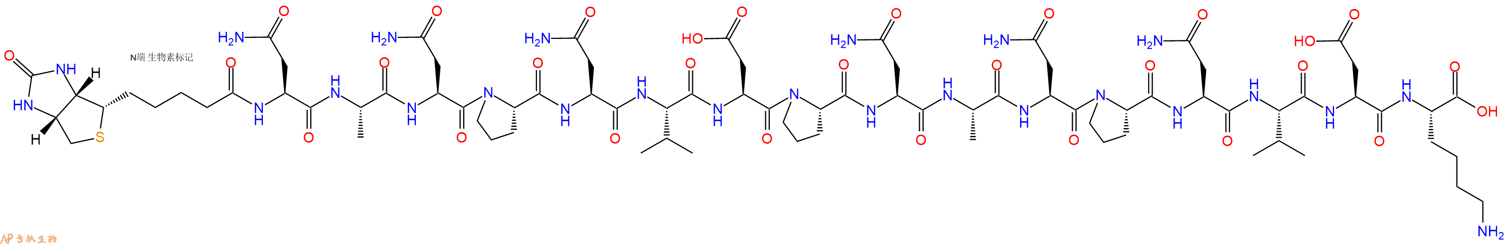 专肽生物产品Biotinyl-Asn-Ala-Asn-Pro-Asn-Val-Asp-Pro-Asn-Ala-Asn-Pro-Asn-Val-Asp-Lys-OH