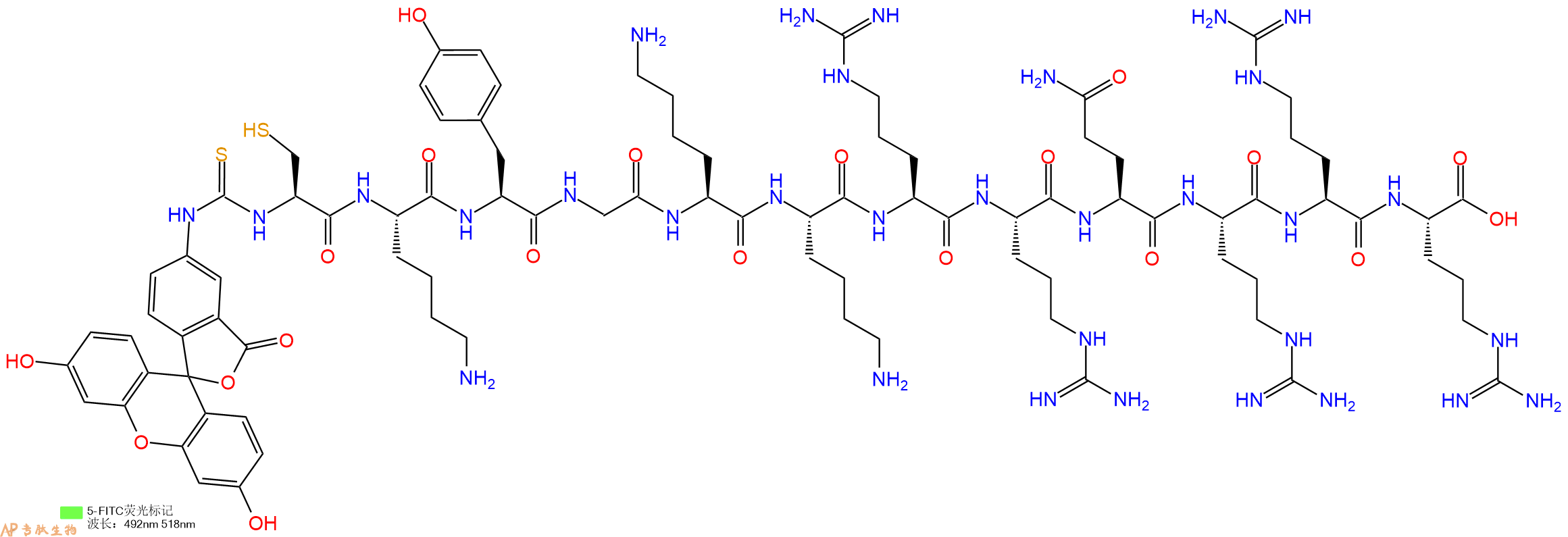 专肽生物产品5FITC-Cys-Lys-Tyr-Gly-Lys-Lys-Arg-Arg-Gln-Arg-Arg-Arg-OH