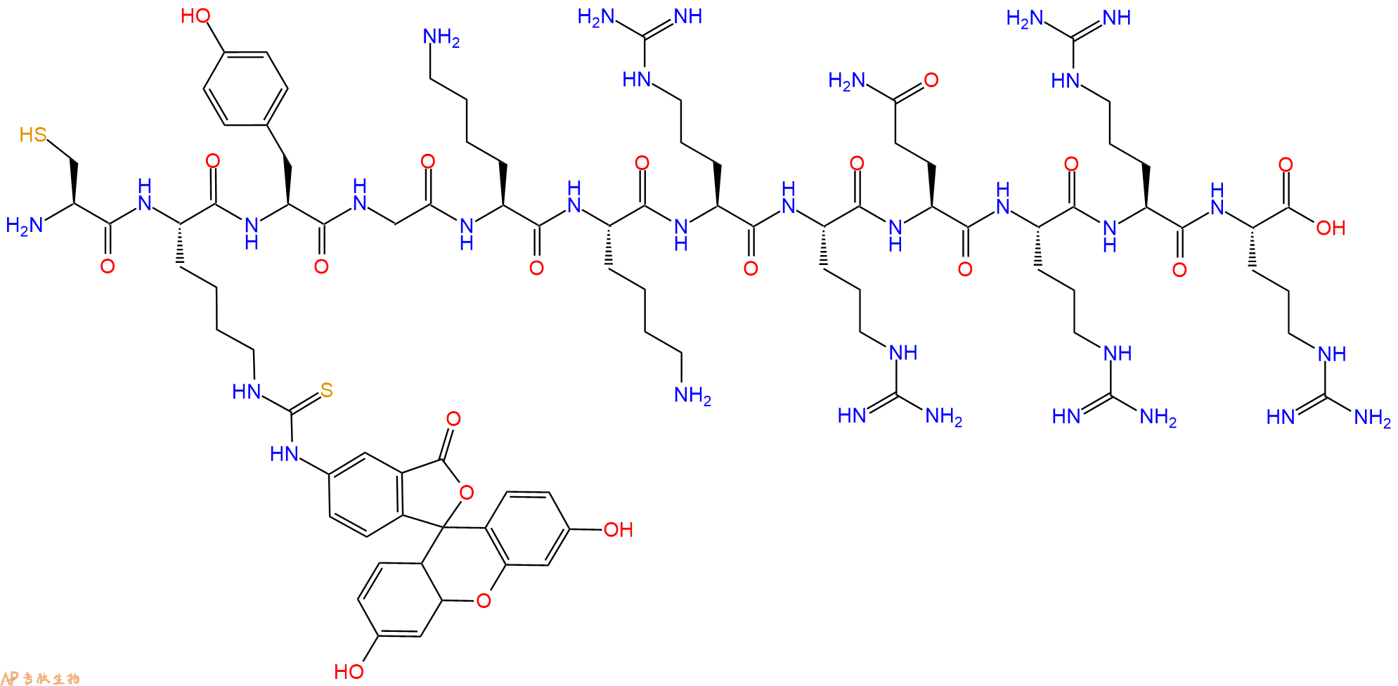 专肽生物产品H2N-Cys-Lys(FITC)-Tyr-Gly-Lys-Lys-Arg-Arg-Gln-Arg-Arg-Arg-OH