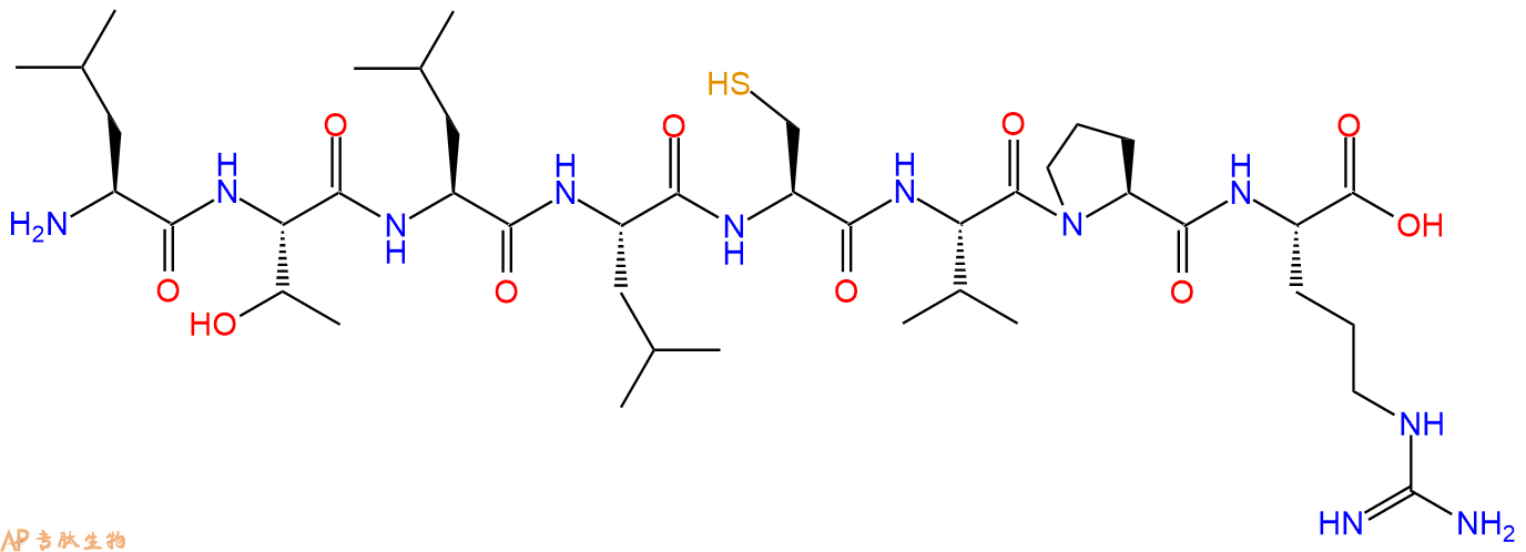 专肽生物产品H2N-Leu-Thr-Leu-Leu-Cys-Val-Pro-Arg-OH