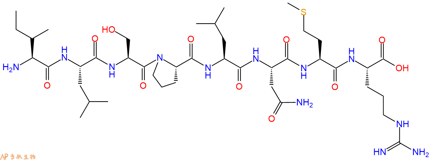 专肽生物产品H2N-Ile-Leu-Ser-Pro-Leu-Asn-Met-Arg-OH