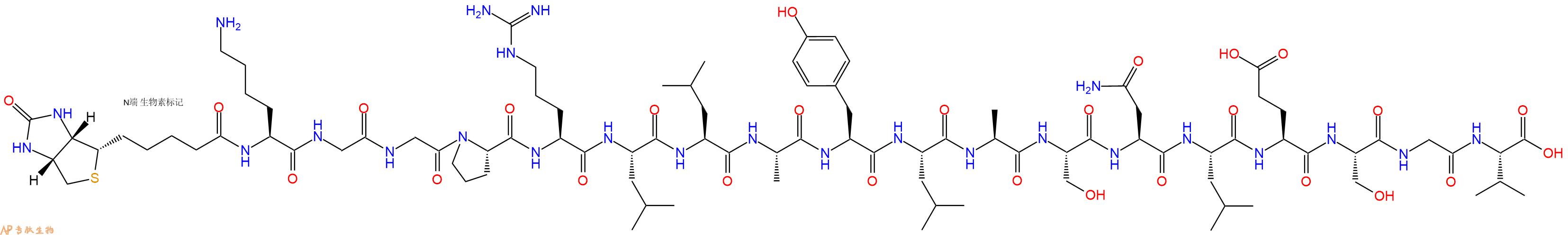 专肽生物产品Biotinyl-Lys-Gly-Gly-Pro-Arg-Leu-Leu-Ala-Tyr-Leu-Ala-Ser-Asn-Leu-Glu-Ser-Gly-Val-OH