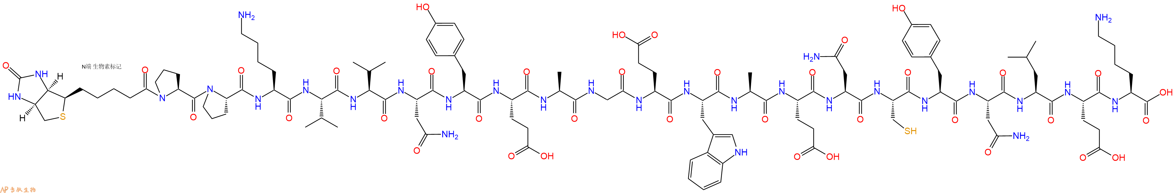 专肽生物产品Biotinyl-Pro-Pro-Lys-Val-Val-Asn-Tyr-Glu-Ala-Gly-Glu-Trp-Ala-Glu-Asn-Cys-Tyr-Asn-Leu-Glu-Lys-OH