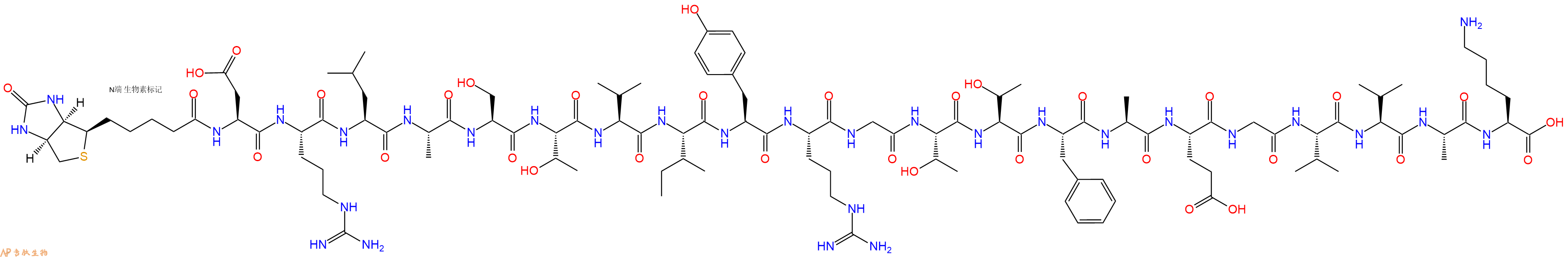 专肽生物产品Biotinyl-Asp-Arg-Leu-Ala-Ser-Thr-Val-Ile-Tyr-Arg-Gly-Thr-Thr-Phe-Ala-Glu-Gly-Val-Val-Ala-Lys-OH