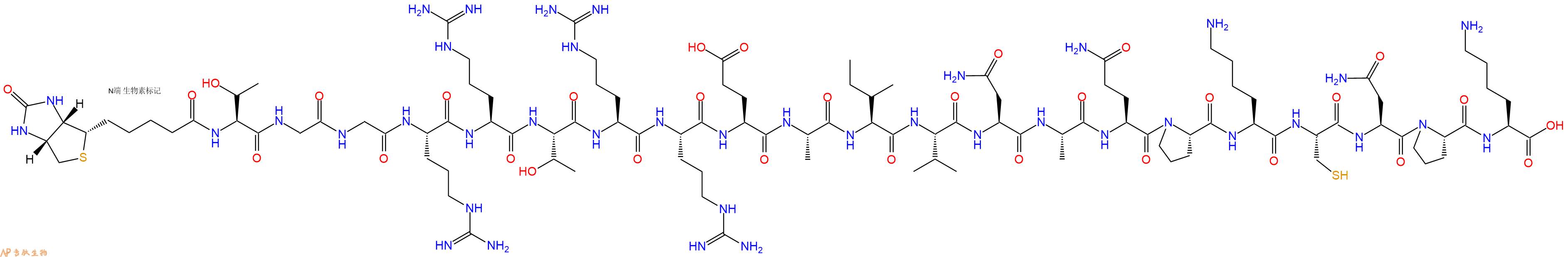 专肽生物产品Biotinyl-Thr-Gly-Gly-Arg-Arg-Thr-Arg-Arg-Glu-Ala-Ile-Val-Asn-Ala-Gln-Pro-Lys-Cys-Asn-Pro-Lys-OH