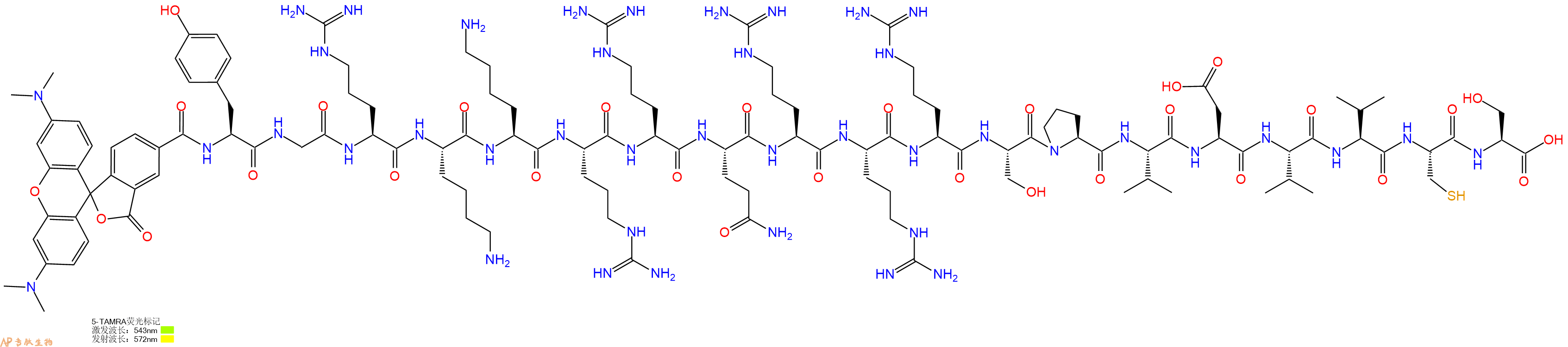 专肽生物产品5TAMRA-Tyr-Gly-Arg-Lys-Lys-Arg-Arg-Gln-Arg-Arg-Arg-Ser-Pro-Val-Asp-Val-Val-Cys-Ser-OH