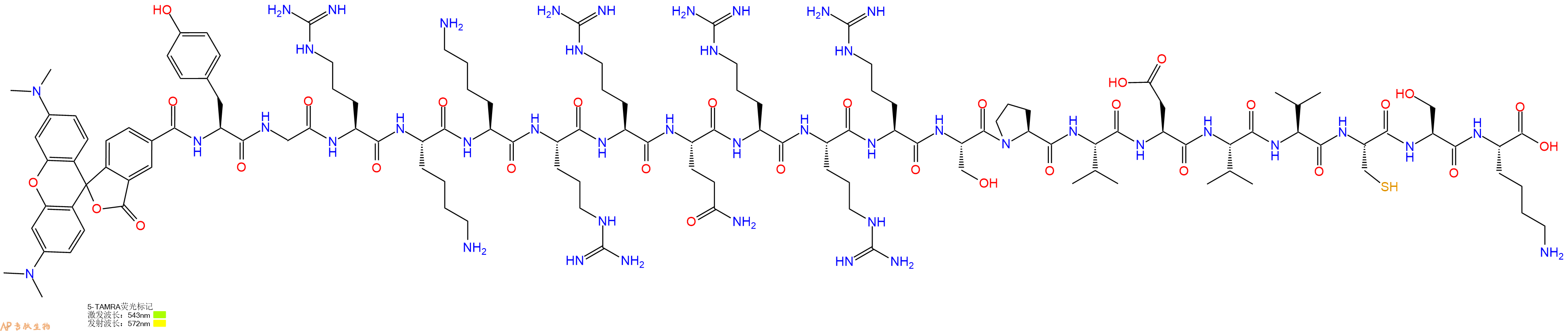 专肽生物产品5TAMRA-Tyr-Gly-Arg-Lys-Lys-Arg-Arg-Gln-Arg-Arg-Arg-Ser-Pro-Val-Asp-Val-Val-Cys-Ser-Lys-OH