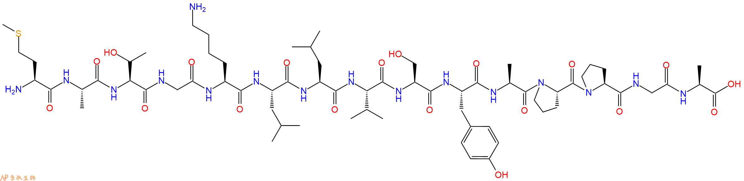 专肽生物产品H2N-Met-Ala-Thr-Gly-Lys-Leu-Leu-Val-Ser-Tyr-Ala-Pro-Pro-Gly-Ala-OH