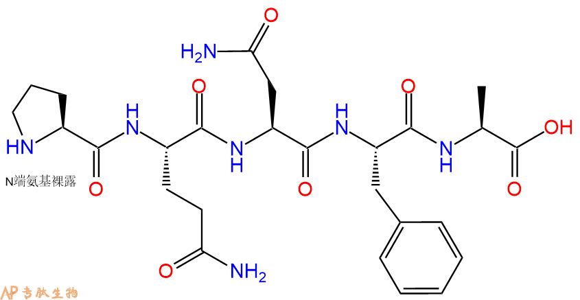 专肽生物产品H2N-Pro-Gln-Asn-Phe-Ala-OH