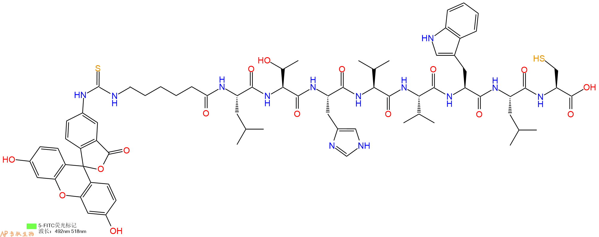 专肽生物产品5FITC-Ahx-Leu-Thr-His-Val-Val-Trp-Leu-Cys-OH