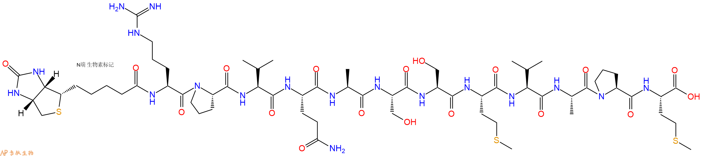 专肽生物产品Biotinyl-Arg-Pro-Val-Gln-Ala-Ser-Ser-Met-Val-Ala-Pro-Met-OH