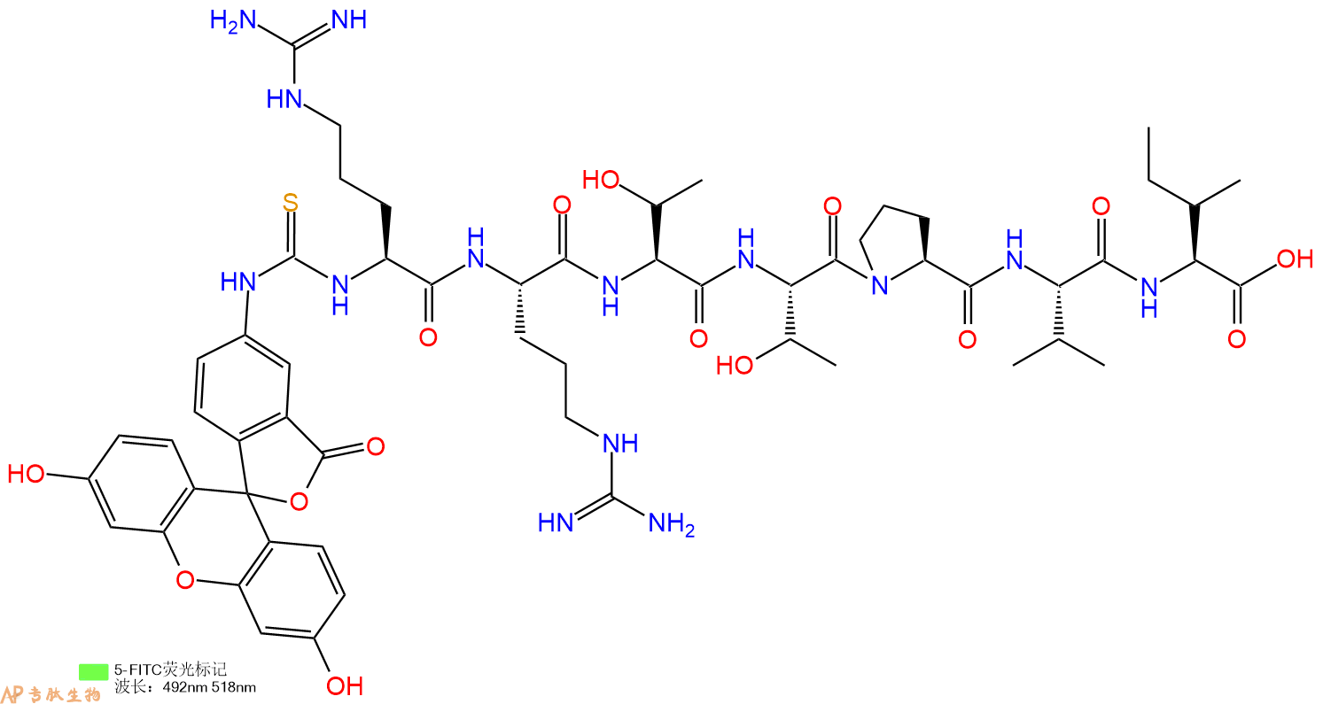 专肽生物产品5FITC-Arg-Arg-Thr-Thr-Pro-Val-Ile-OH