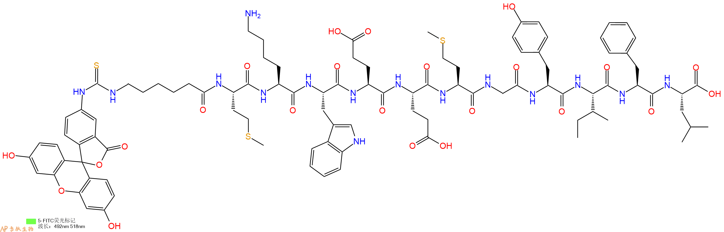专肽生物产品5FITC-Ahx-Met-Lys-Trp-Glu-Glu-Met-Gly-Tyr-Ile-Phe-Leu-OH