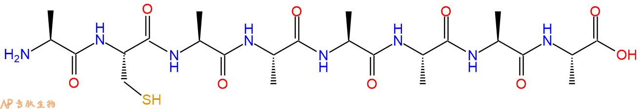 专肽生物产品H2N-Ala-Cys-Ala-Ala-Ala-Ala-Ala-Ala-OH