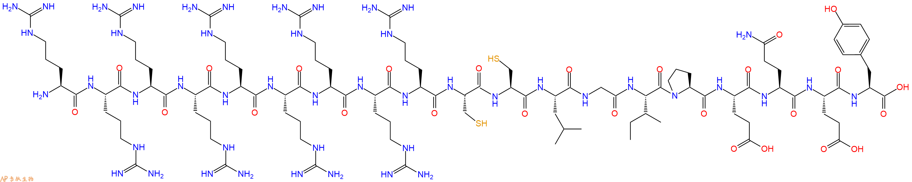 专肽生物产品H2N-Arg-Arg-Arg-Arg-Arg-Arg-Arg-Arg-Arg-Cys-Cys-Leu-Gly-Ile-Pro-Glu-Gln-Glu-Tyr-OH