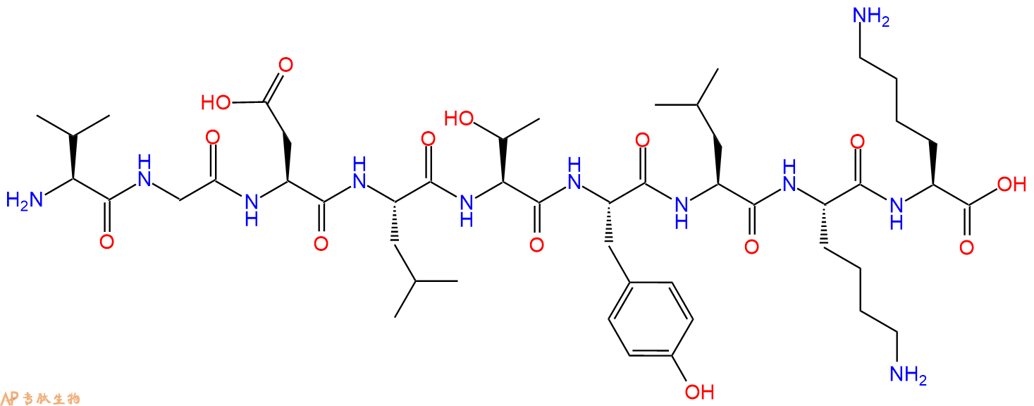 专肽生物产品H2N-Val-Gly-Asp-Leu-Thr-Tyr-Leu-Lys-Lys-OH