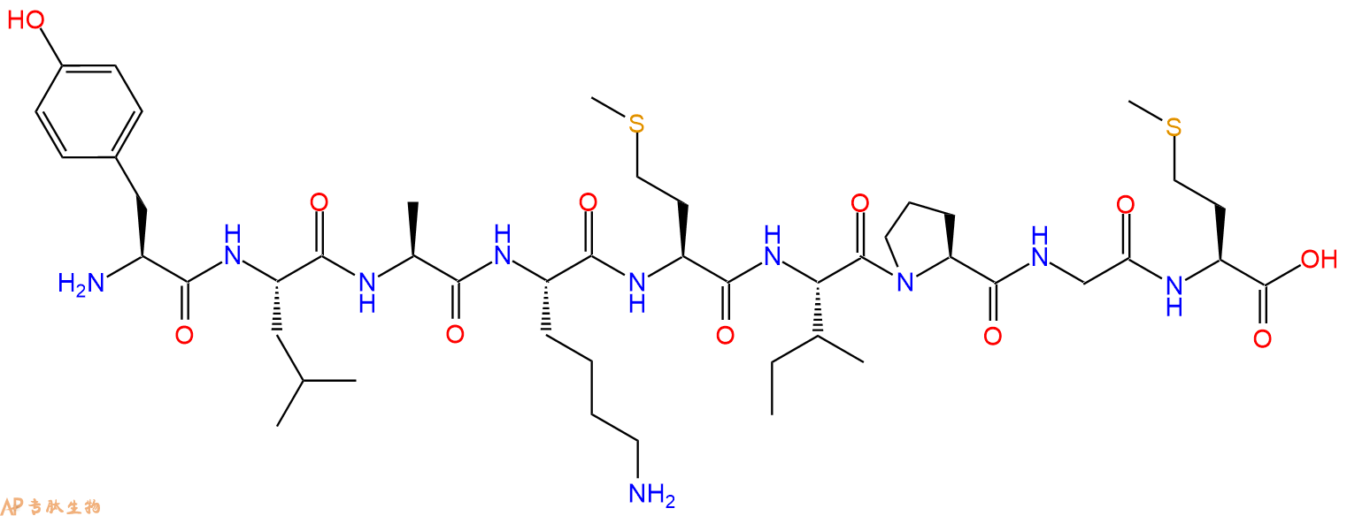 专肽生物产品H2N-Tyr-Leu-Ala-Lys-Met-Ile-Pro-Gly-Met-OH