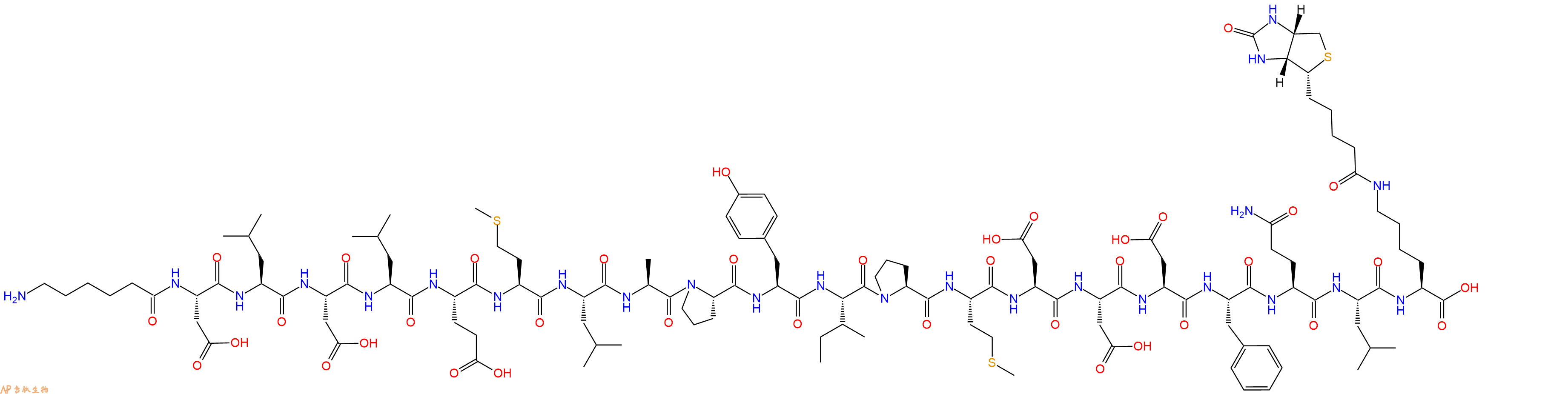 专肽生物产品H2N-Ahx-Asp-Leu-Asp-Leu-Glu-Met-Leu-Ala-Pro-Tyr-Ile-Pro-Met-Asp-Asp-Asp-Phe-Gln-Leu-Lys(Biotin)-OH
