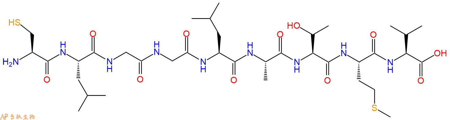 专肽生物产品H2N-Cys-Leu-Gly-Gly-Leu-Ala-Thr-Met-Val-OH