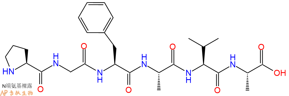 专肽生物产品H2N-Pro-Gly-Phe-Ala-Val-Ala-OH