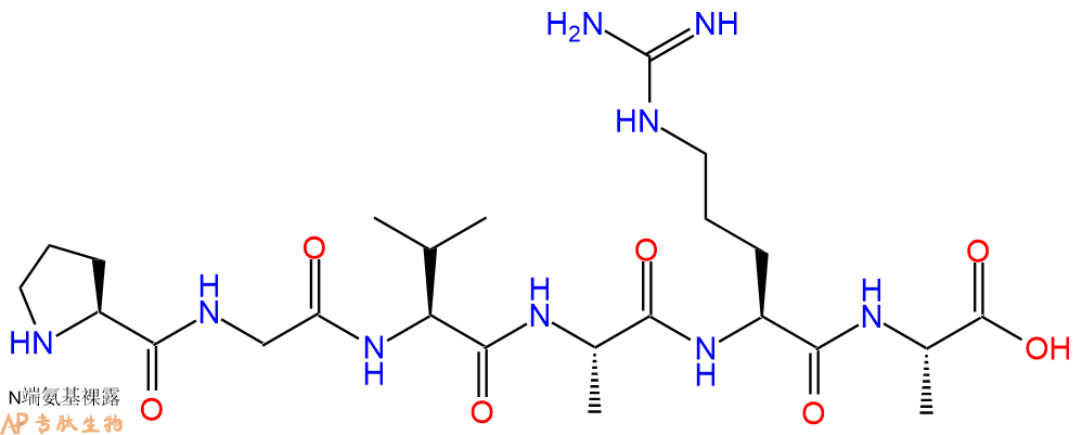 专肽生物产品H2N-Pro-Gly-Val-Ala-Arg-Ala-OH