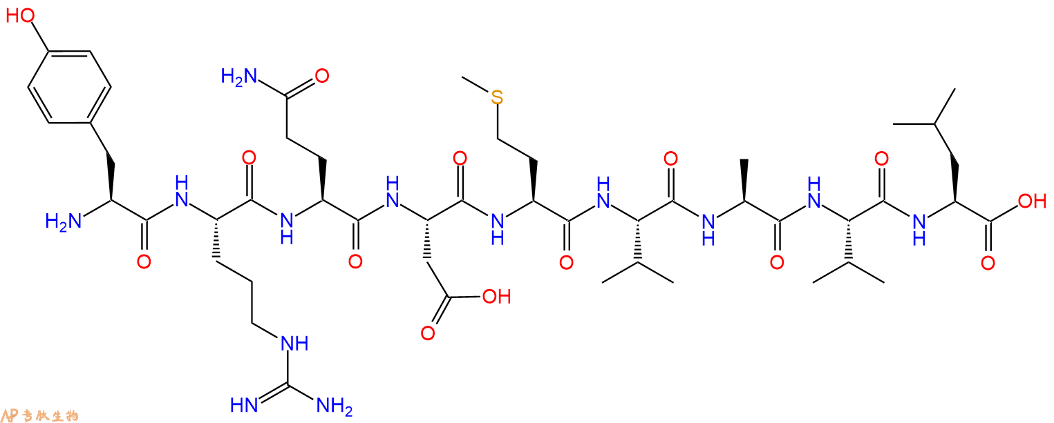 专肽生物产品H2N-Tyr-Arg-Gln-Asp-Met-Val-Ala-Val-Leu-OH
