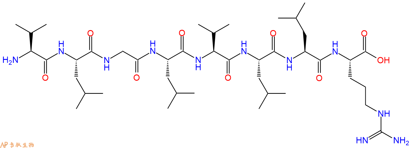 专肽生物产品H2N-Val-Leu-Gly-Leu-Val-Leu-Leu-Arg-OH