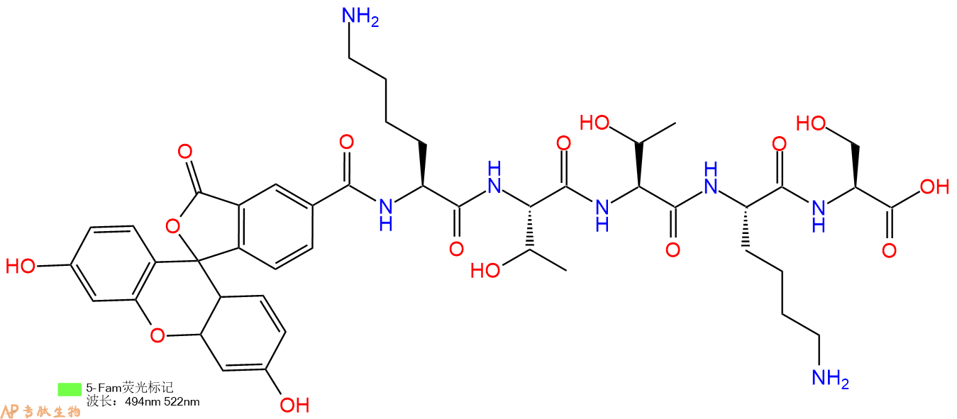 专肽生物产品5FAM-Lys-Thr-Thr-Lys-Ser-OH