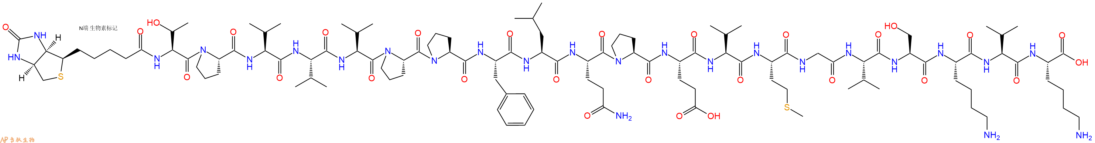 专肽生物产品Biotinyl-Thr-Pro-Val-Val-Val-Pro-Pro-Phe-Leu-Gln-Pro-Glu-Val-Met-Gly-Val-Ser-Lys-Val-Lys-OH