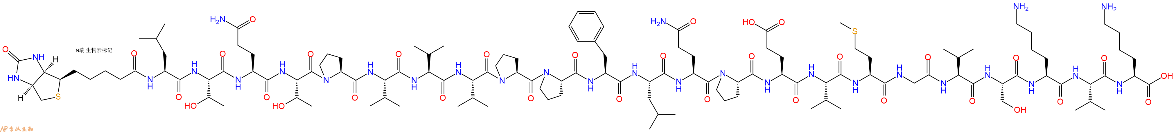 专肽生物产品Biotinyl-Leu-Thr-Gln-Thr-Pro-Val-Val-Val-Pro-Pro-Phe-Leu-Gln-Pro-Glu-Val-Met-Gly-Val-Ser-Lys-Val-Lys-OH