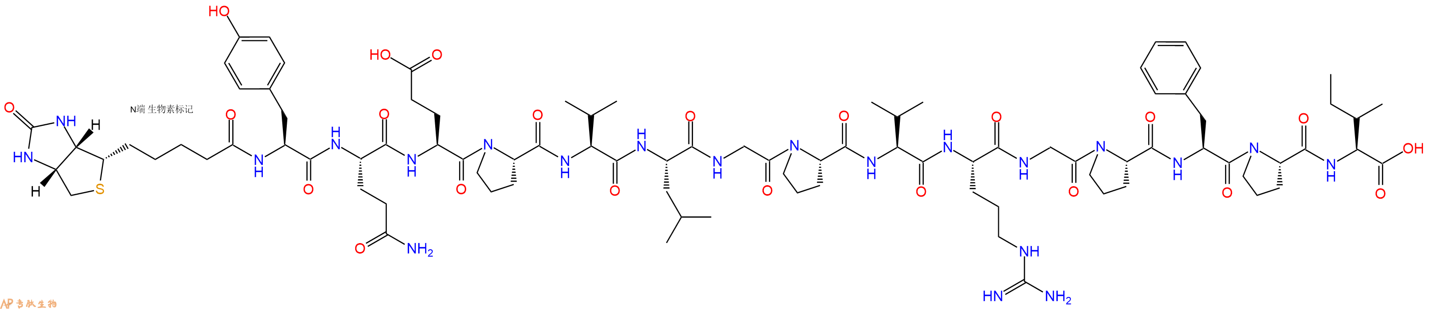 专肽生物产品Biotinyl-Tyr-Gln-Glu-Pro-Val-Leu-Gly-Pro-Val-Arg-Gly-Pro-Phe-Pro-Ile-OH