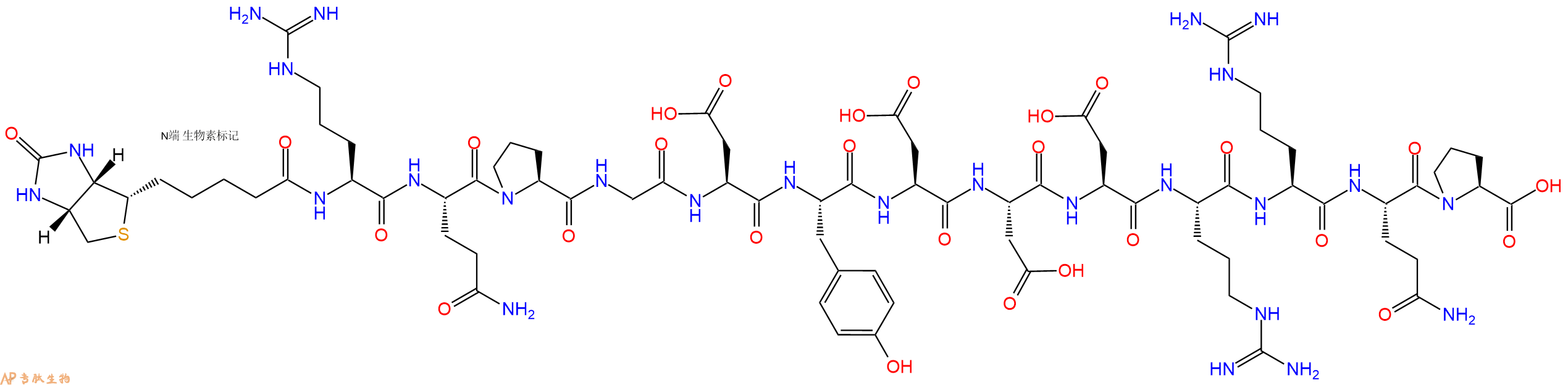 专肽生物产品Biotinyl-Arg-Gln-Pro-Gly-Asp-Tyr-Asp-Asp-Asp-Arg-Arg-Gln-Pro-OH