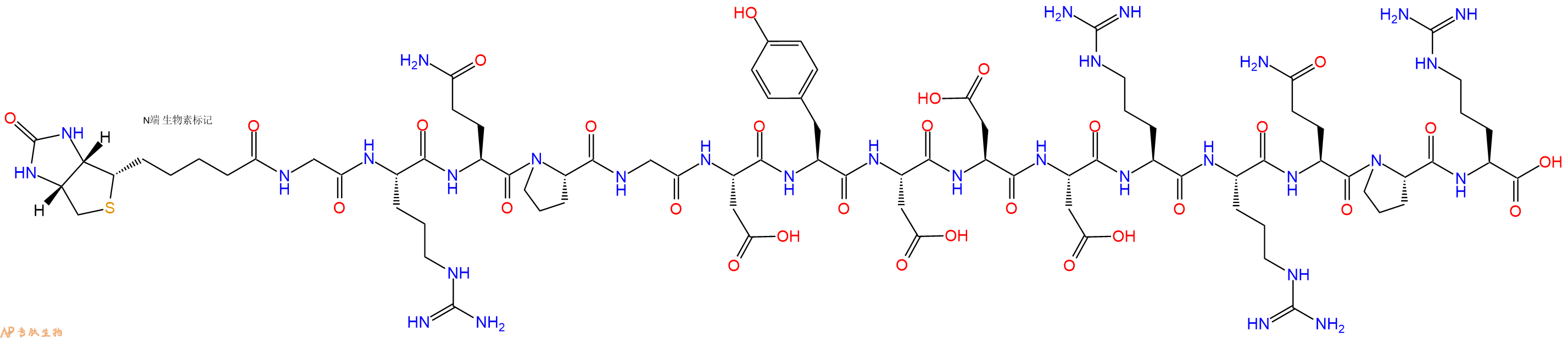 专肽生物产品Biotinyl-Gly-Arg-Gln-Pro-Gly-Asp-Tyr-Asp-Asp-Asp-Arg-Arg-Gln-Pro-Arg-OH