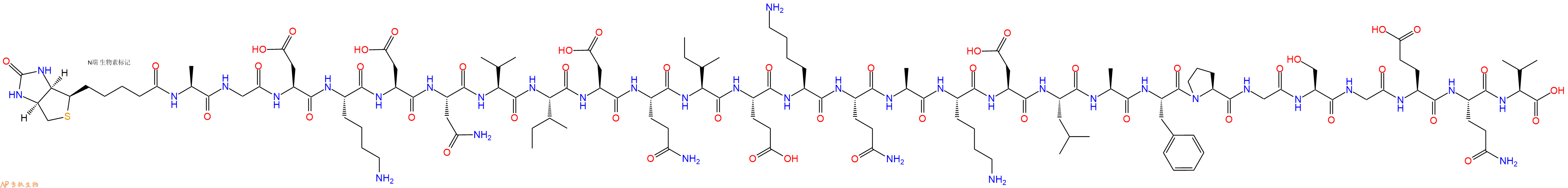 专肽生物产品Biotinyl-Ala-Gly-Asp-Lys-Asp-Asn-Val-Ile-Asp-Gln-Ile-Glu-Lys-Gln-Ala-Lys-Asp-Leu-Ala-Phe-Pro-Gly-Ser-Gly-Glu-Gln-Val-OH