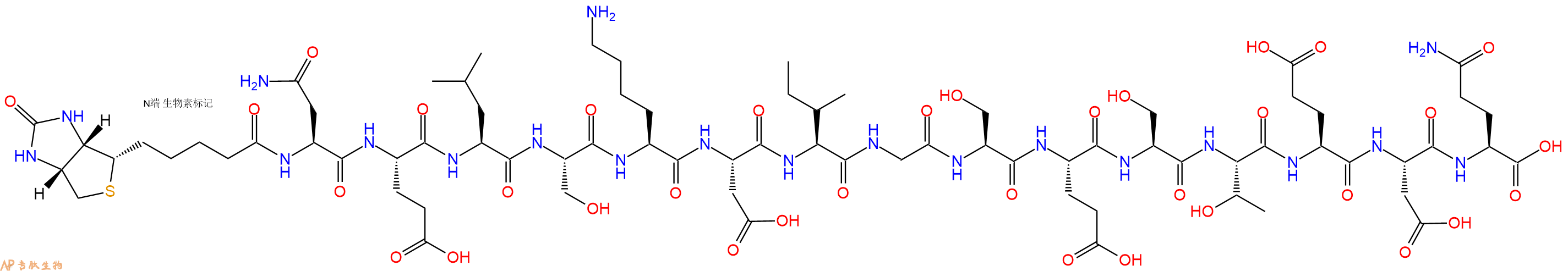 专肽生物产品Biotinyl-Asn-Glu-Leu-Ser-Lys-Asp-Ile-Gly-Ser-Glu-Ser-Thr-Glu-Asp-Gln-OH