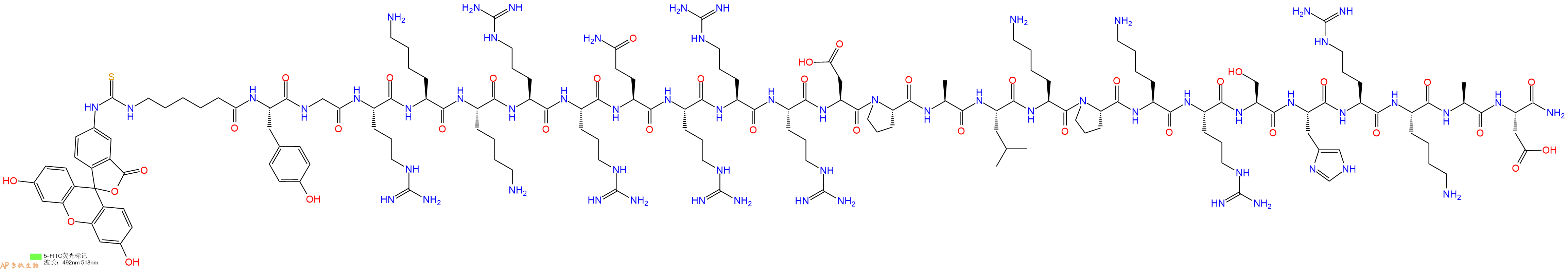 专肽生物产品5FITC-Ahx-Tyr-Gly-Arg-Lys-Lys-Arg-Arg-Gln-Arg-Arg-Arg-Asp-Pro-Ala-Leu-Lys-Pro-Lys-Arg-Ser-His-Arg-Lys-Ala-Asp-CONH2