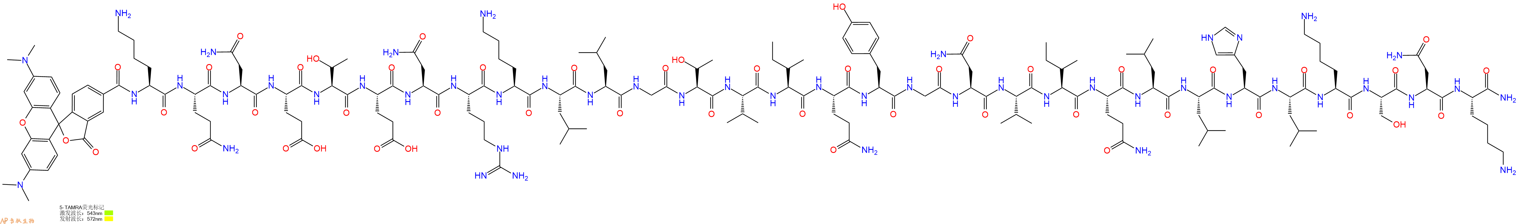 专肽生物产品5TAMRA-Lys-Gln-Asn-Glu-Thr-Glu-Asn-Arg-Lys-Leu-Leu-Gly-Thr-Val-Ile-Gln-Tyr-Gly-Asn-Val-Ile-Gln-Leu-Leu-His-Leu-Lys-Ser-Asn-Lys-CONH2