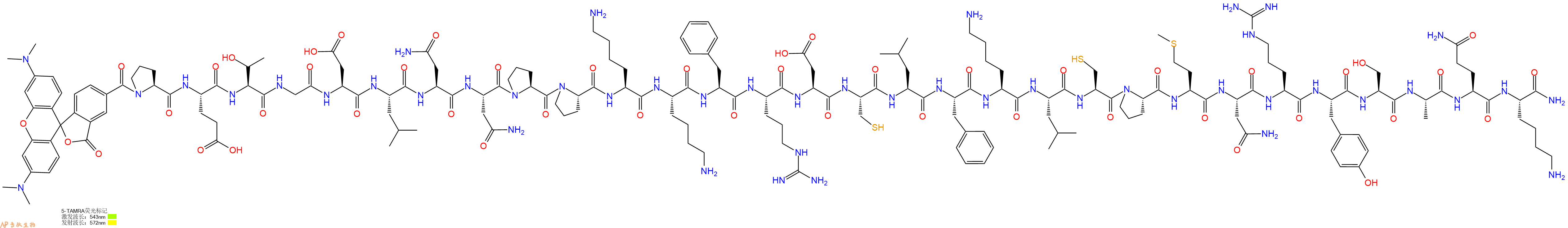 专肽生物产品5TAMRA-Pro-Glu-Thr-Gly-Asp-Leu-Asn-Asn-Pro-Pro-Lys-Lys-Phe-Arg-Asp-Cys-Leu-Phe-Lys-Leu-Cys-Pro-Met-Asn-Arg-Tyr-Ser-Ala-Gln-Lys-CONH2
