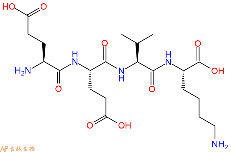 专肽生物产品H2N-Glu-Glu-Val-Lys-OH