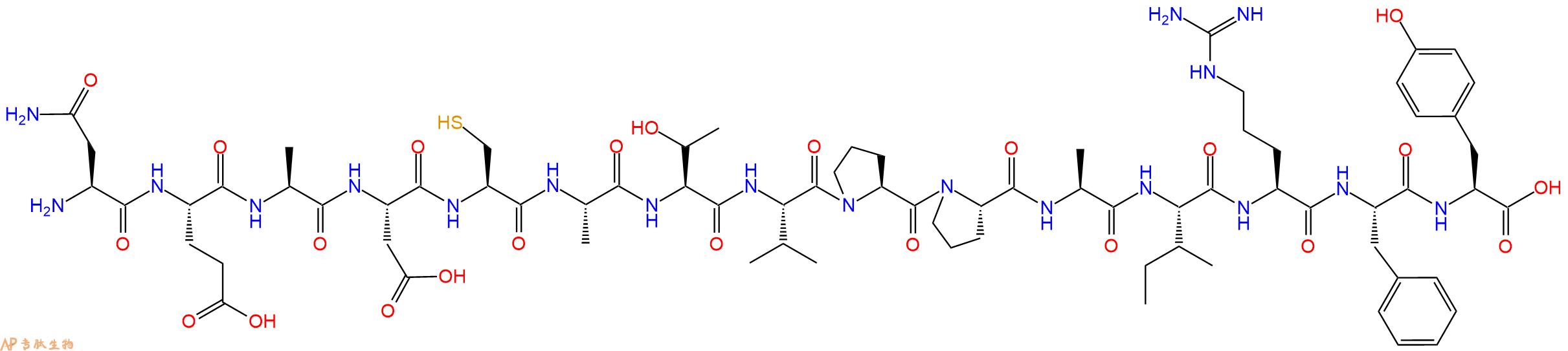 专肽生物产品H2N-Asn-Glu-Ala-Asp-Cys-Ala-Thr-Val-Pro-Pro-Ala-Ile-Arg-Phe-Tyr-OH