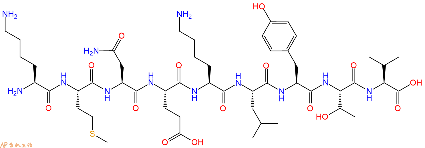 专肽生物产品H2N-Lys-Met-Asn-Glu-Lys-Leu-Tyr-Thr-Val-OH