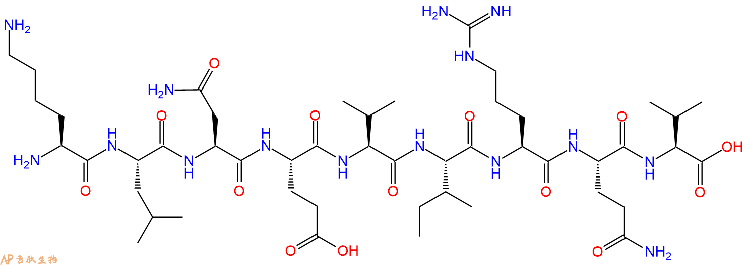 专肽生物产品H2N-Lys-Leu-Asn-Glu-Val-Ile-Arg-Gln-Val-OH