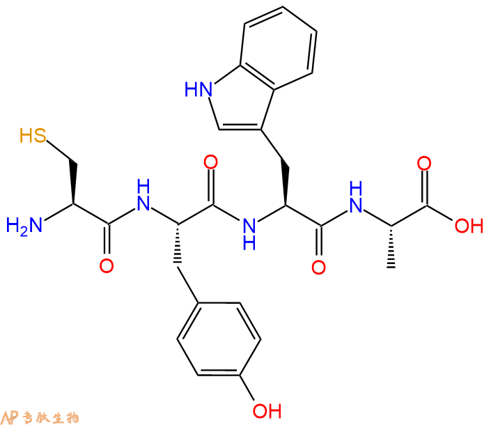 专肽生物产品H2N-Cys-Tyr-Trp-Ala-OH
