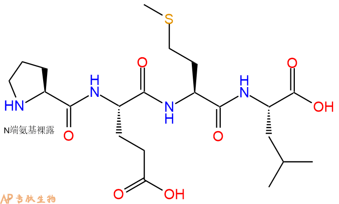 专肽生物产品H2N-Pro-Glu-Met-Leu-OH