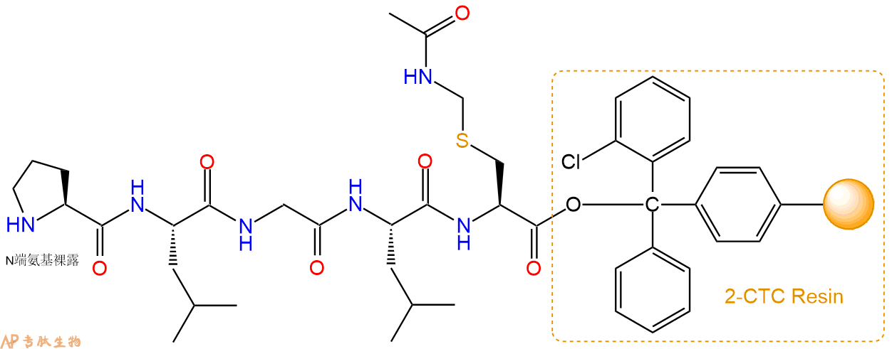 专肽生物产品H2N-Pro-Leu-Gly-Leu-Cys(Acm)-CTCResin